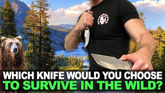 Which Knife Would You Choose To Survive In The Wild?