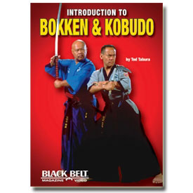 Introduction to Bokken and Kobudo movie