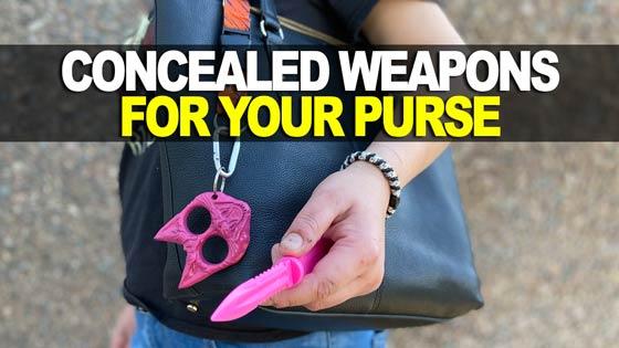 The Best Concealed Weapons For Your Purse!