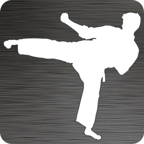 Karate Sidekick Vinyl Car Decal
