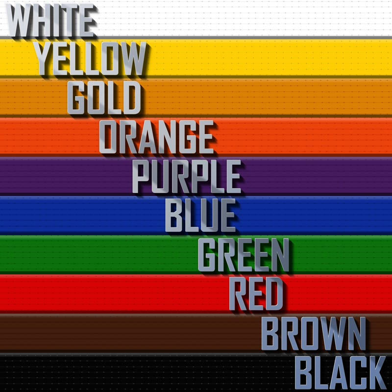 Rank Belt with White Stripe Martial Arts Belts with White Stripe