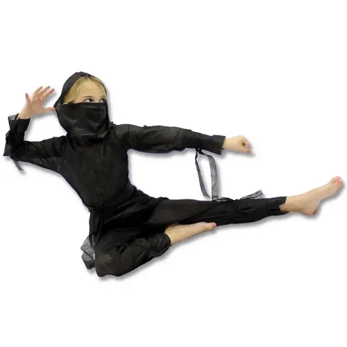 Cheap Ninja Costume