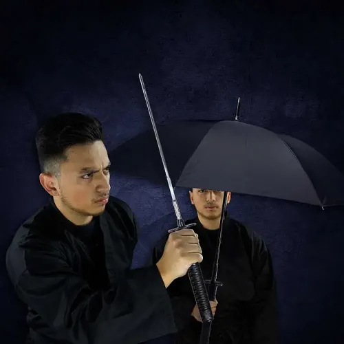 Concealed Umbrella Sword