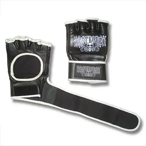 Destroyer MMA Gloves