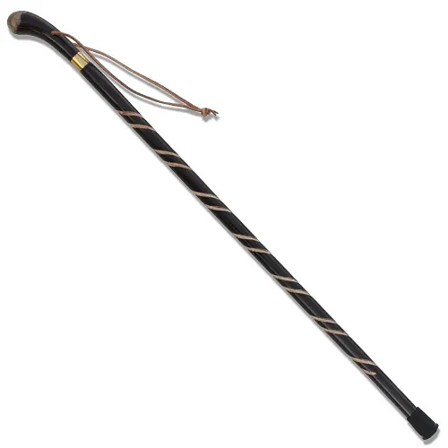 Eucalyptus Root Defense Cane