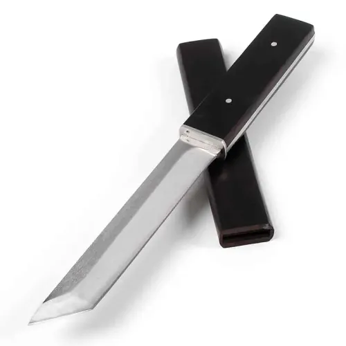 Full-Tang Samurai Tanto