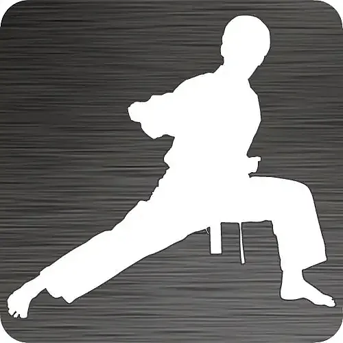 Goju-Ryu Vinyl Car Decal