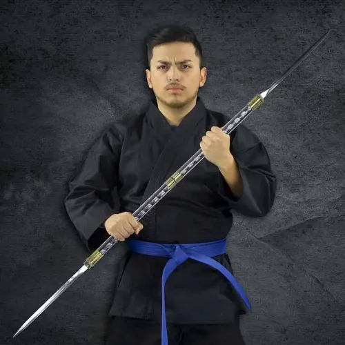 Hidden Swords Staff