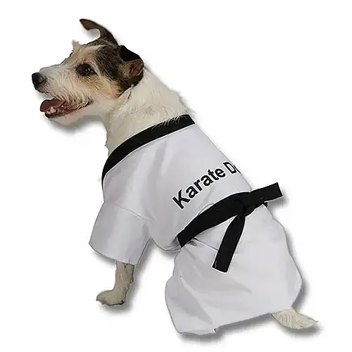 Karate Dog Costume
