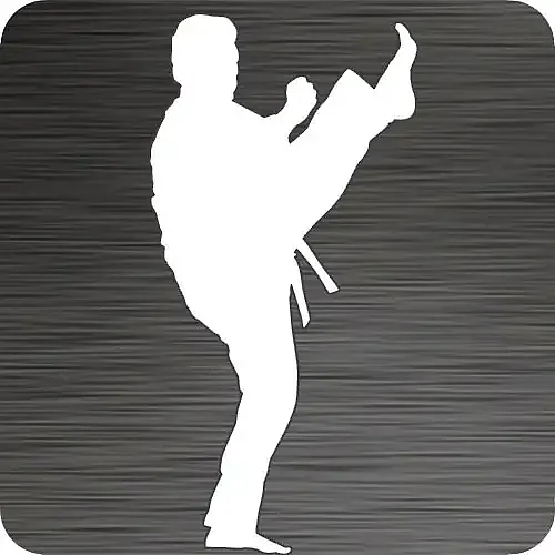 Karate Front Kick Vinyl Car Decal