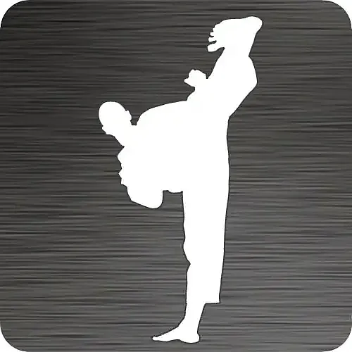 Karate Kick Vinyl Car Decal