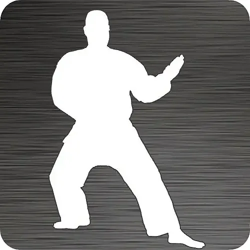 Karate Master Vinyl Car Decal