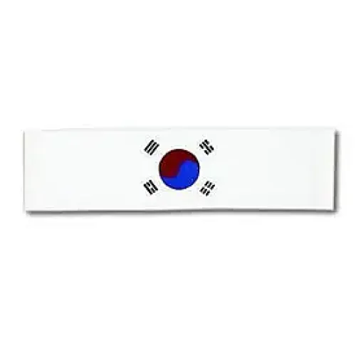 Korean Flag Headband
