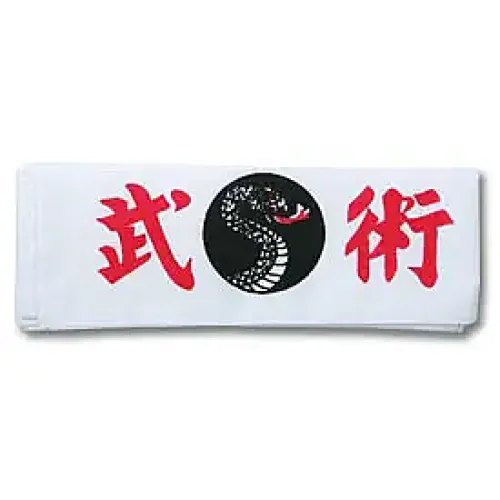 Martial Arts Snake Headband