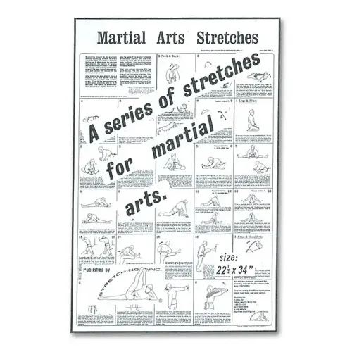 Martial Arts Stretches Poster