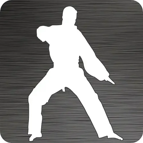 Martial Arts Car Decal