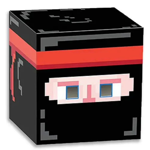8-Bit Ninja Box Head