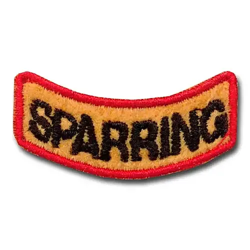 Professional Sparring Award Patch