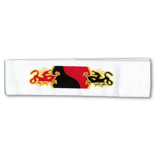 Raging Dragons Headband