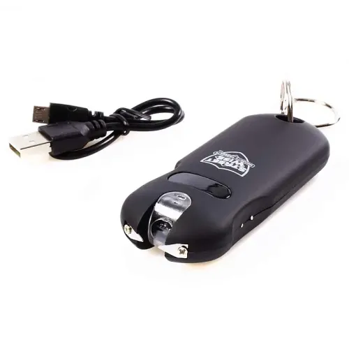 Stun Gun Keychain
