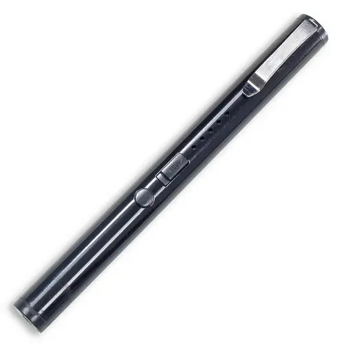 Stun Gun Pen