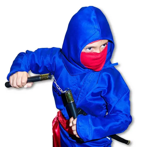 Super Ninja Costume