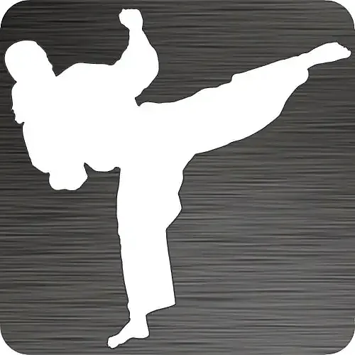 Taekwondo Girl Car Decal