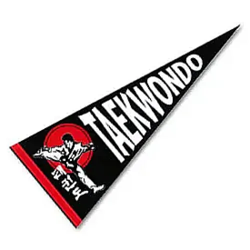 Taekwondo Sidekick Pennant