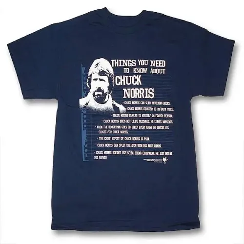 Things You Should Know About Chuck Norris T-Shirt