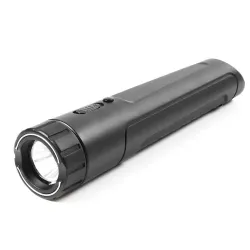 Hidden Stun Gun Flashlight