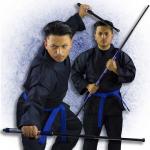Blue 2-Piece Collapsible Bo Staff
