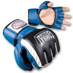 Combat Sports Extreme Safety MMA Training Gloves