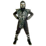 Ice Dragon Ninja Costume