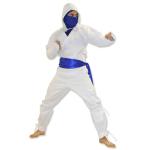 Ice Ninja Costume