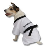 Karate Dog Costume