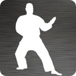 Karate Master Vinyl Car Decal