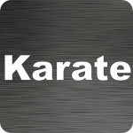 Karate Text Vinyl Car Decal