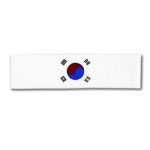 Korean Flag Headband