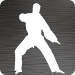 Martial Arts Car Decal