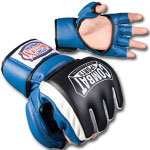 MMA Safety Sparring Gloves