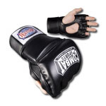 Pro Style Grappling Gloves
