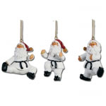 Taekwondo Santa Ornament Set