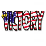 USA Victory Patch