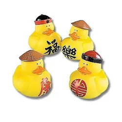 Kung Fu Rubber Duckies