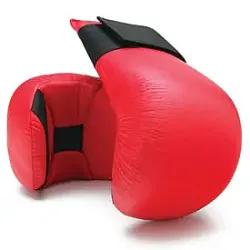 Competition Karate Punch