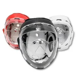 Headgear with Clear Shield