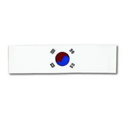 Korean Flag Headband
