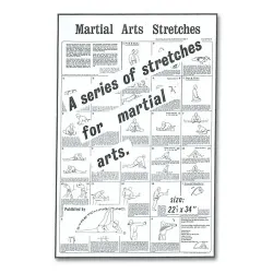 Martial Arts Stretches Poster