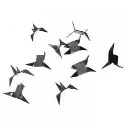 Ninja Caltrop Tashibishi