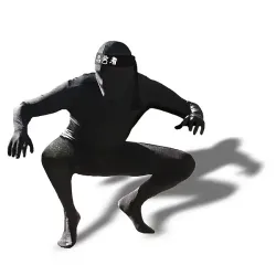 Ninja Shadow Suit